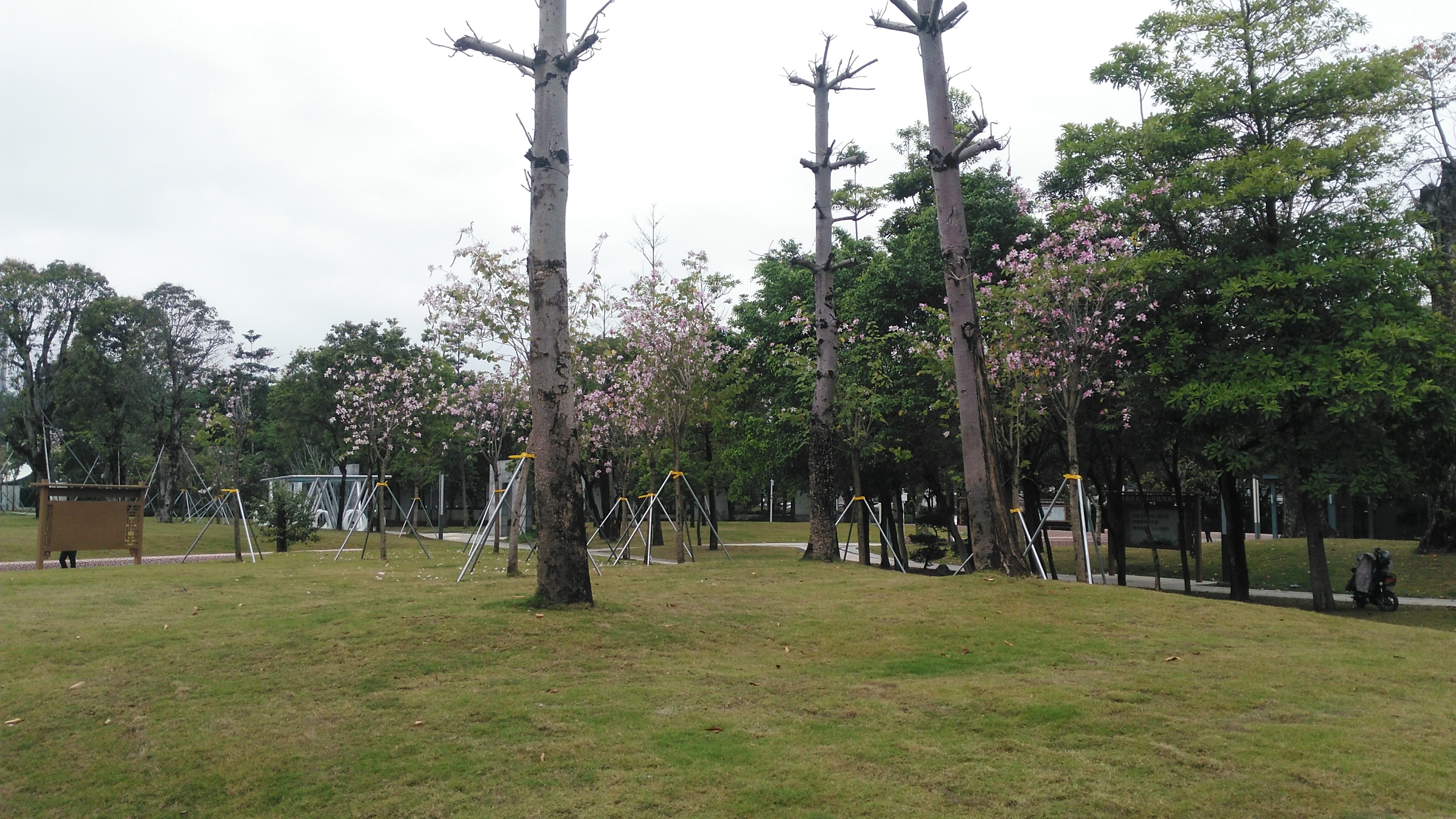 春天的深圳龙岗智慧公园实拍,这地方你们听说过吗?