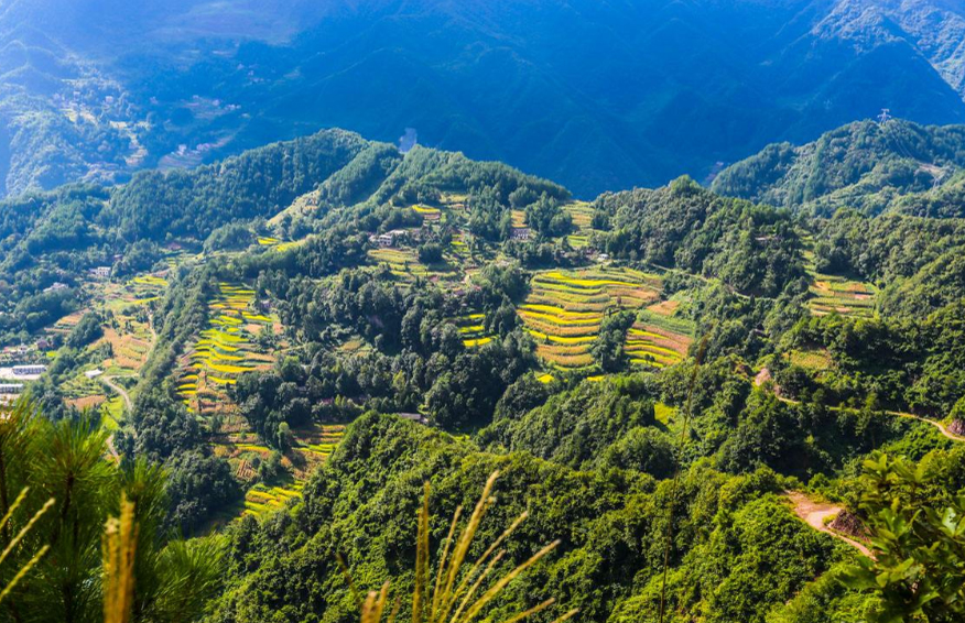 苏马荡美景图片