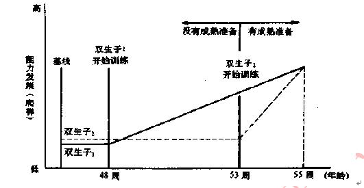 幼儿园学拼音赢在起跑线?格塞尔双生子爬楼梯实验,很说明问题