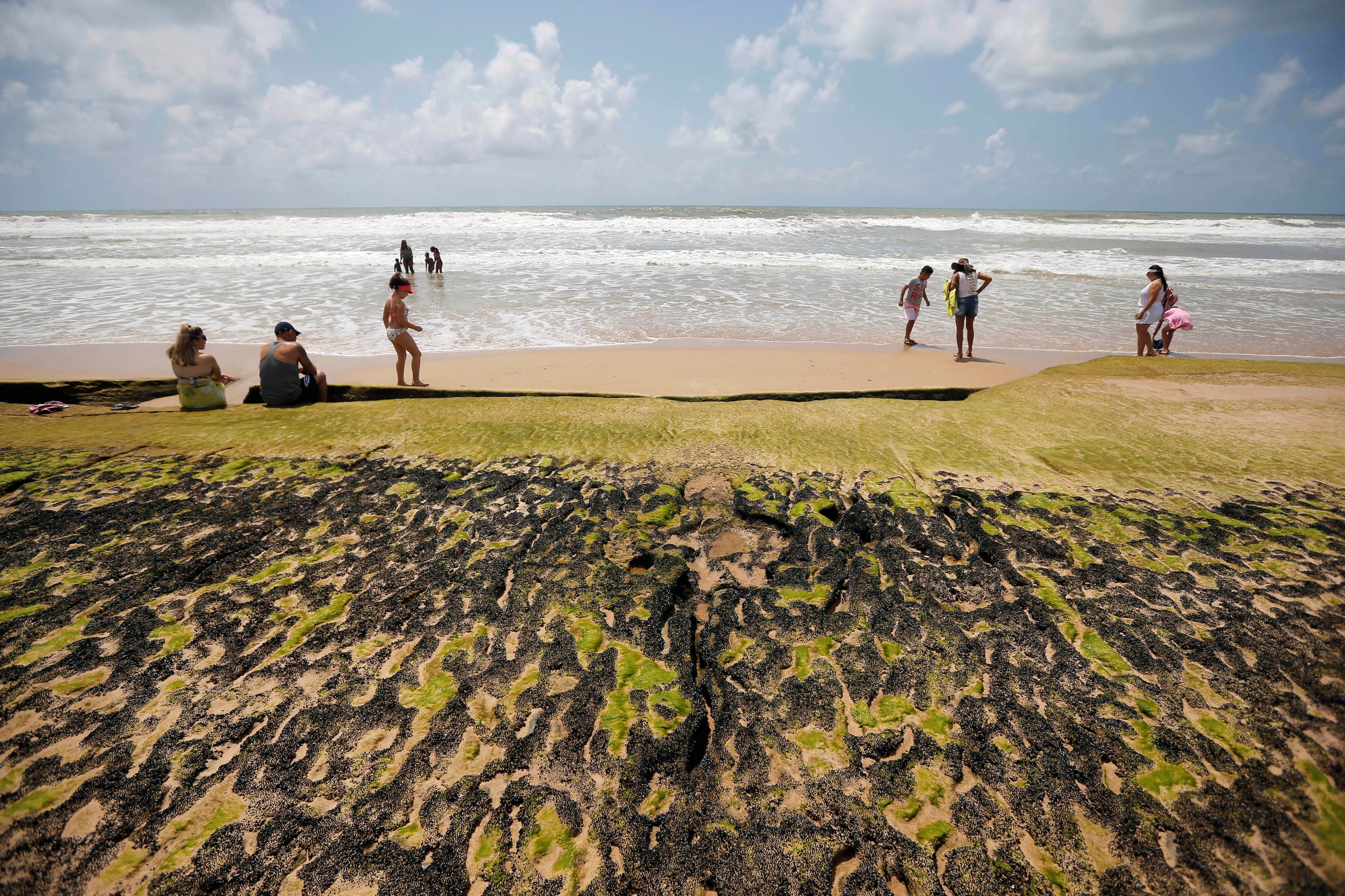 巴西海滩遭漏油污染