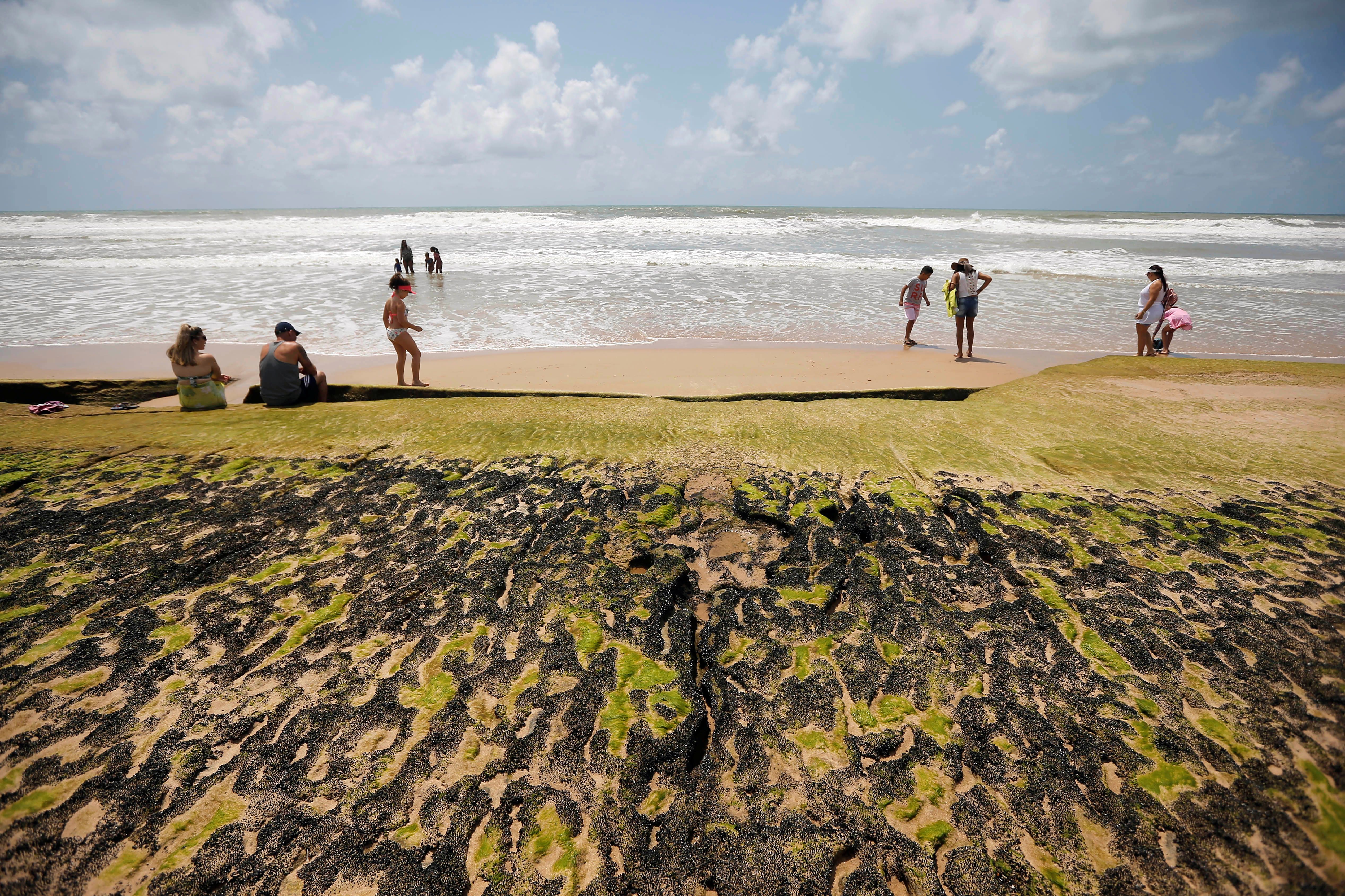 巴西海滩遭漏油污染