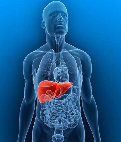 有脂肪肝的人,趁早改掉4个坏习惯,修复肝脏,远离肝