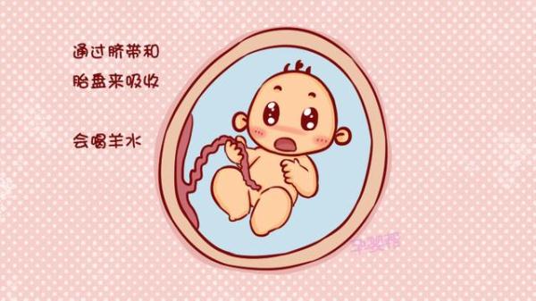 胎儿在妈妈肚子里吃什么呢?看完答案,感觉好暖心!