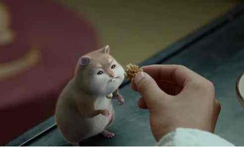 《扶摇》元宝是什么动物?真实身份不简单,原型却是长这样的!