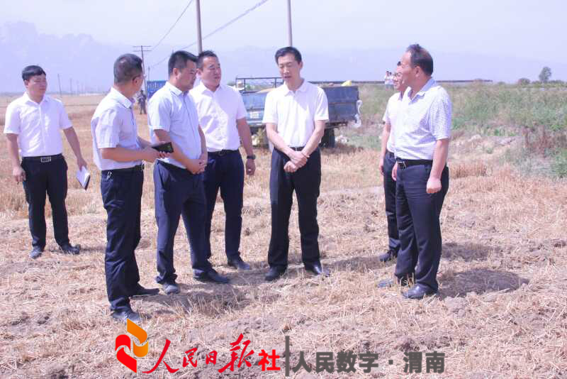华阴市委书记李军政检查岳庙办夏收工作