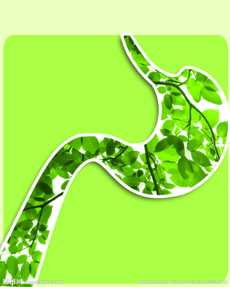 肠胃不好怎么调理,八款食谱呵护肠胃健康