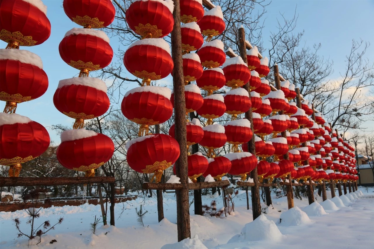 雪打灯笼兆丰年图片