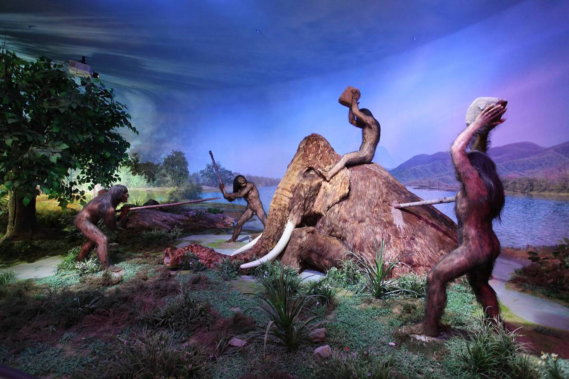 人类的祖先是生活在新生代的猿类.