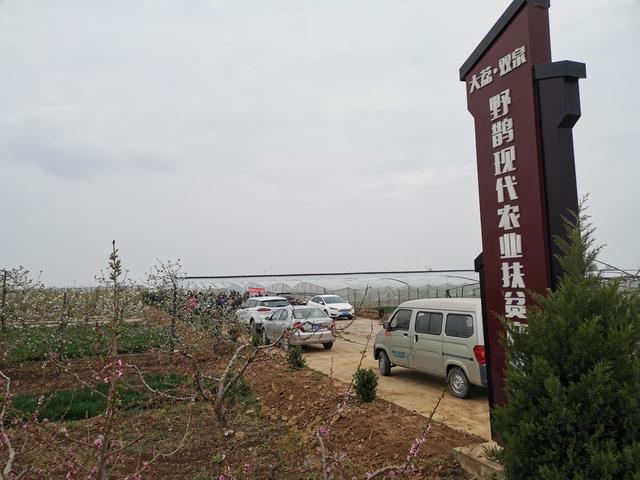 大荔县双泉镇:应对大风低温 田间教学进行中