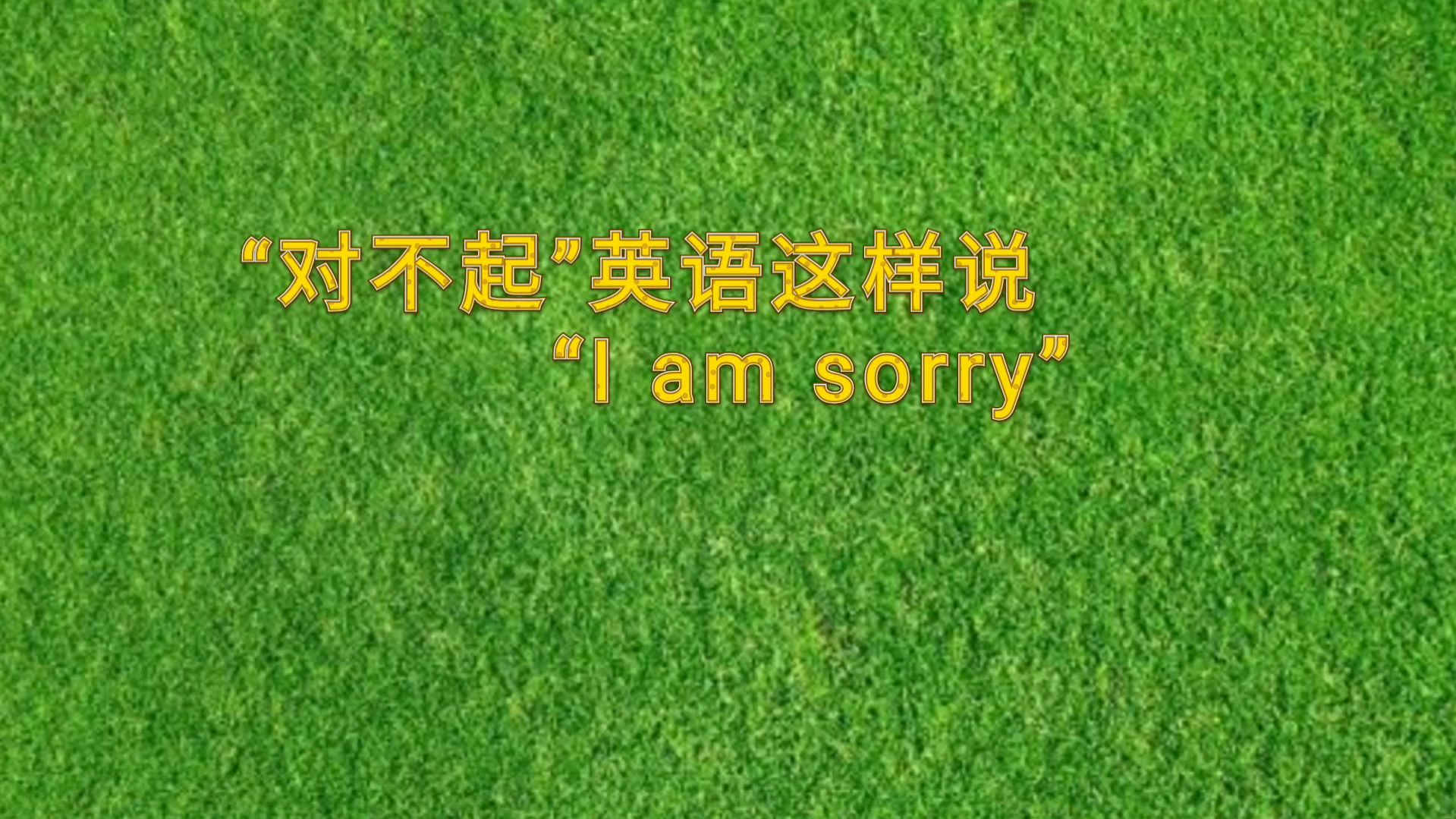 [图]“对不起”英语这样说“I am sorry”