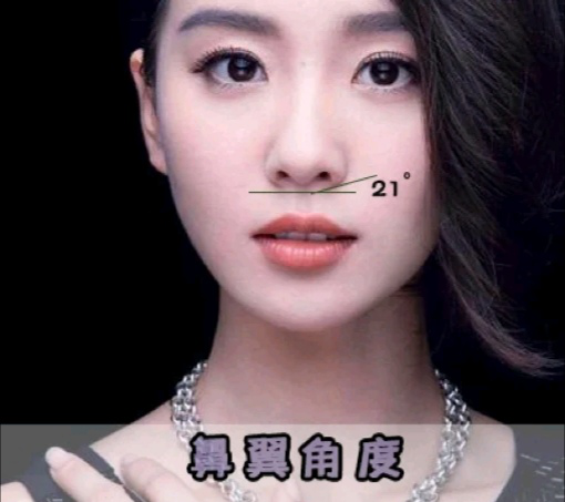 好看鼻子的七个标准,增添颜值还有辨识度,看你中了几条?