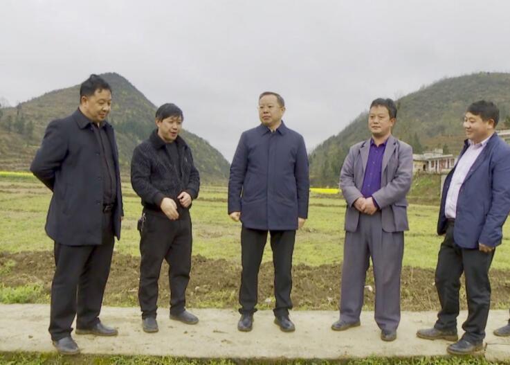 潘发勇到马场镇督导农业产业结构调整工作