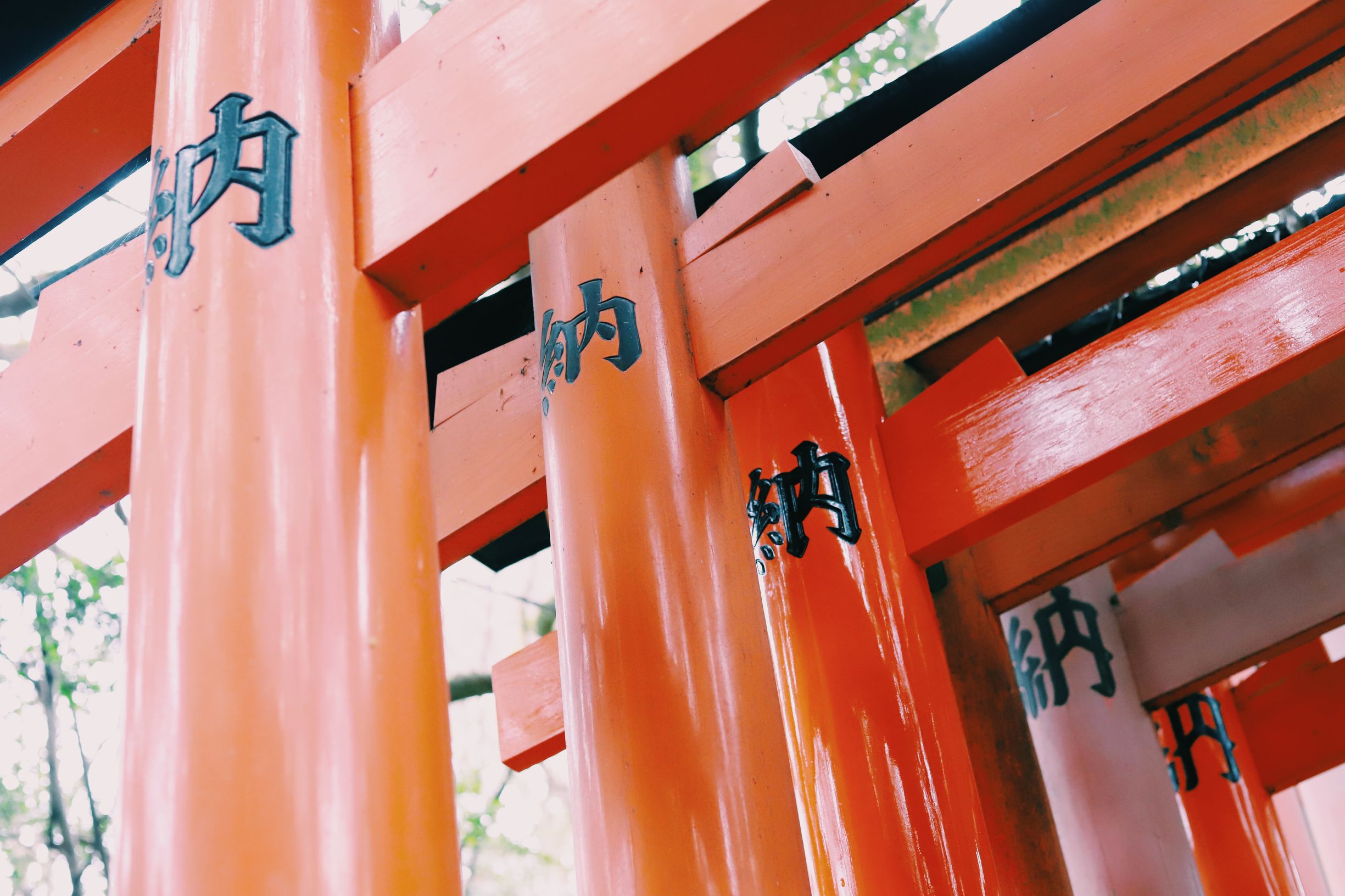 镜头看日本 京都伏见稻荷大社 橙红千本鸟居壮观神秘