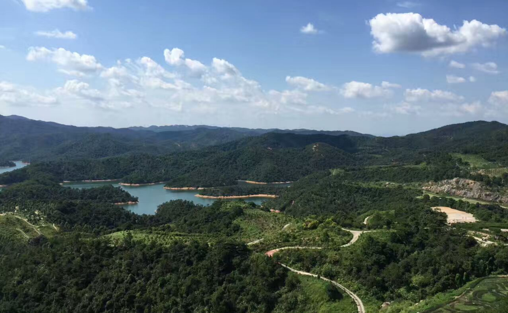 广州有景区名曰九龙湖,我去过一次,感觉适合家庭度假