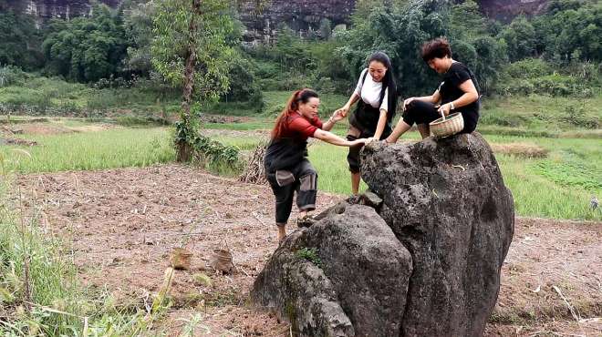 [图]三姐妹30多40岁的人了，还和小时候一样，去摘个菜都是打打闹闹的