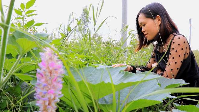 [图]一首DJ《只愿一生陪着你》节奏轻快，旋律好美，送给相爱的人！