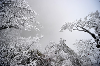 湖南张家界:天门山的第一场雪,出现了雾凇景观