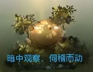 网易赶人之公司架构优化第12张-Myexplor