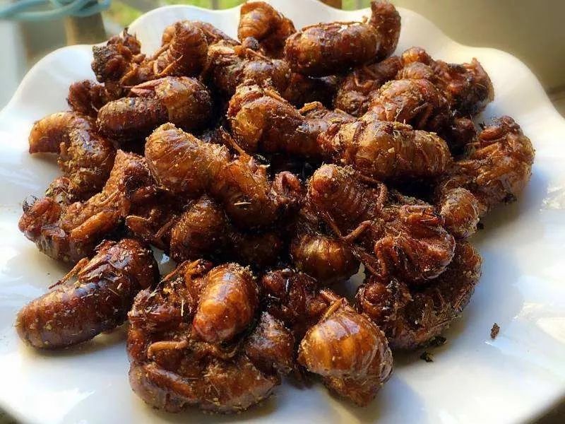 柘城特色小吃:本地人的"乡愁",外地游客的"初恋"!