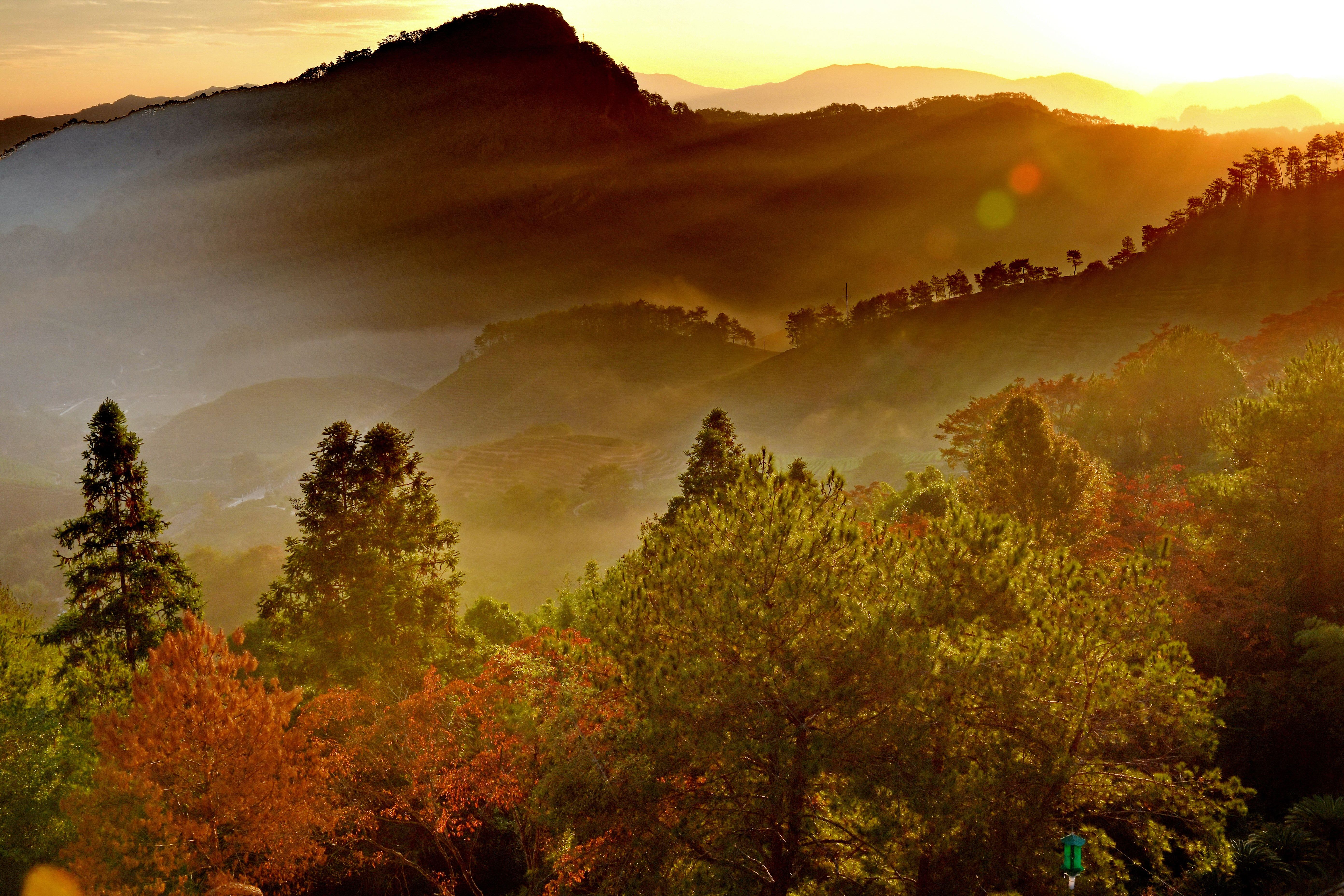 福建武夷山:世界遗产 绿水青山(11)