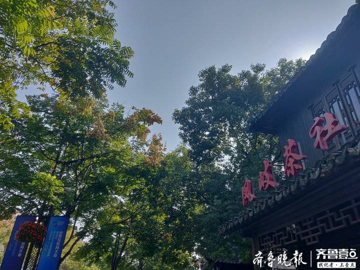 遇见乌镇|凤岐茶社和世界互联网大会