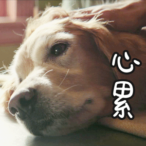 300_300gif 动态图 动图
