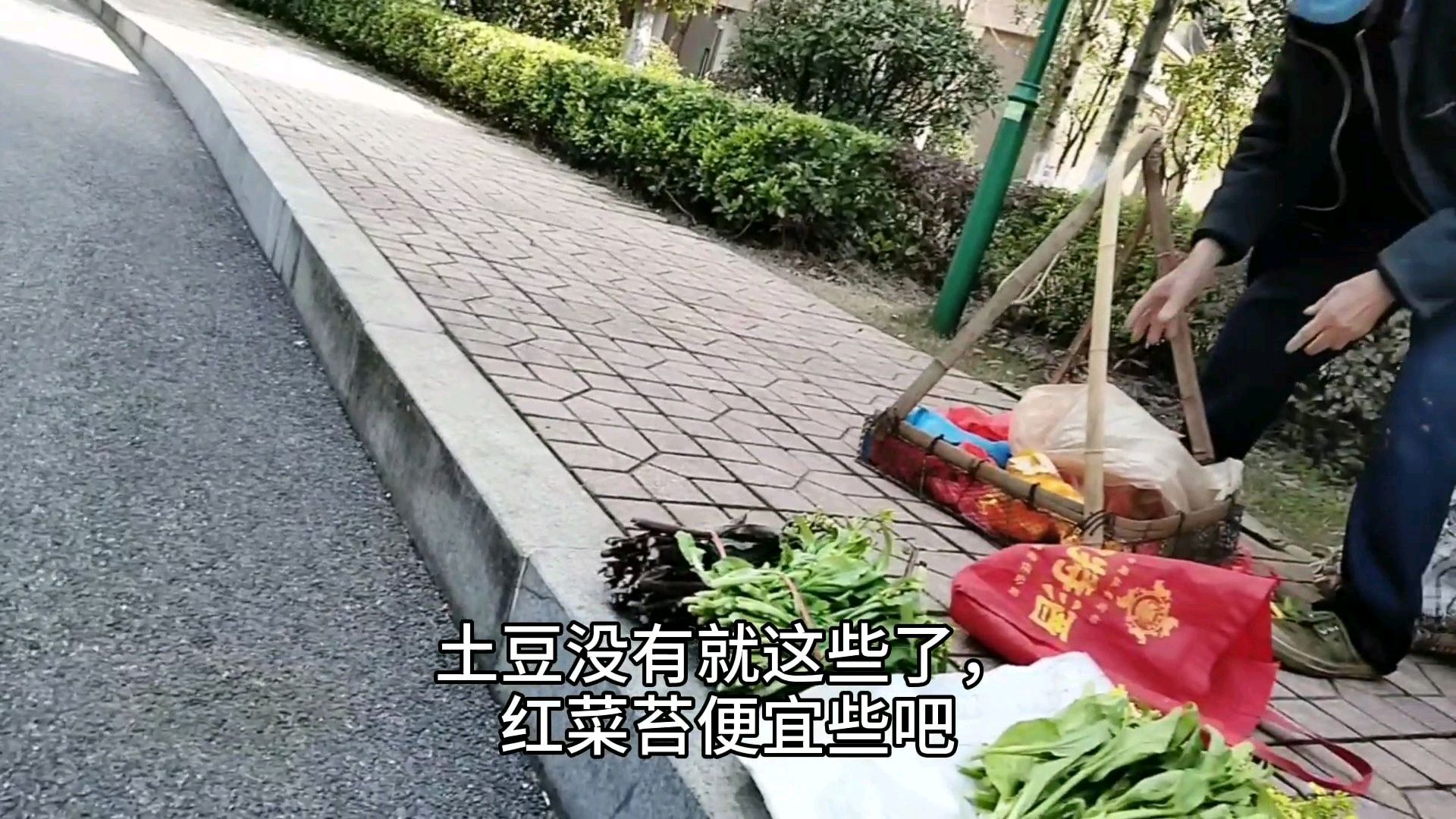 小区走动透气,看戴口罩老人地摊卖菜。白菜苔比超市贵2分钱,正常