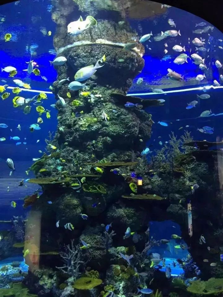 濮阳周边有这么多网红景点!油田人快约