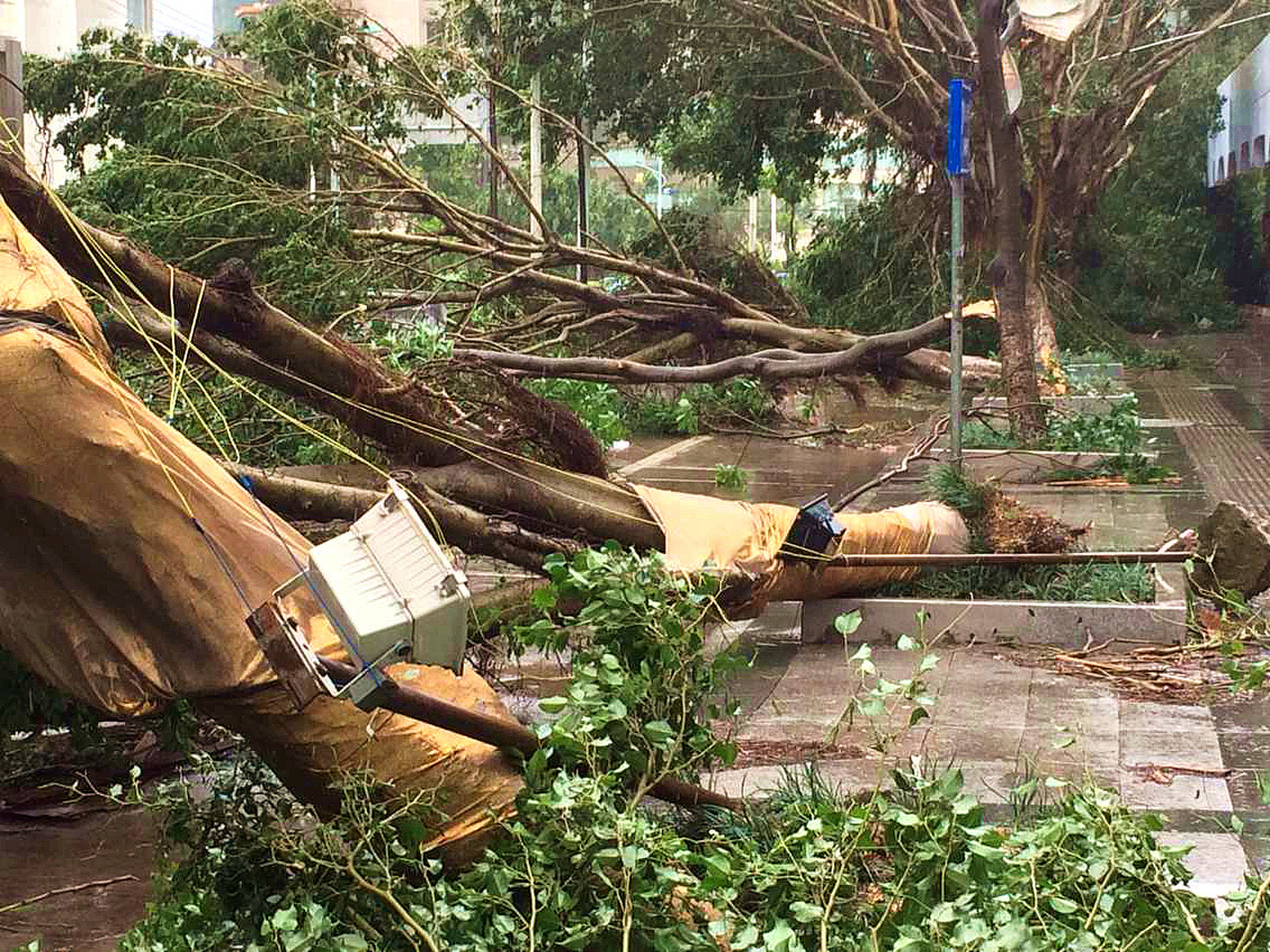 台风杜苏芮已造成福建72万人受灾# 台风"杜苏芮"致福建72万余人受 