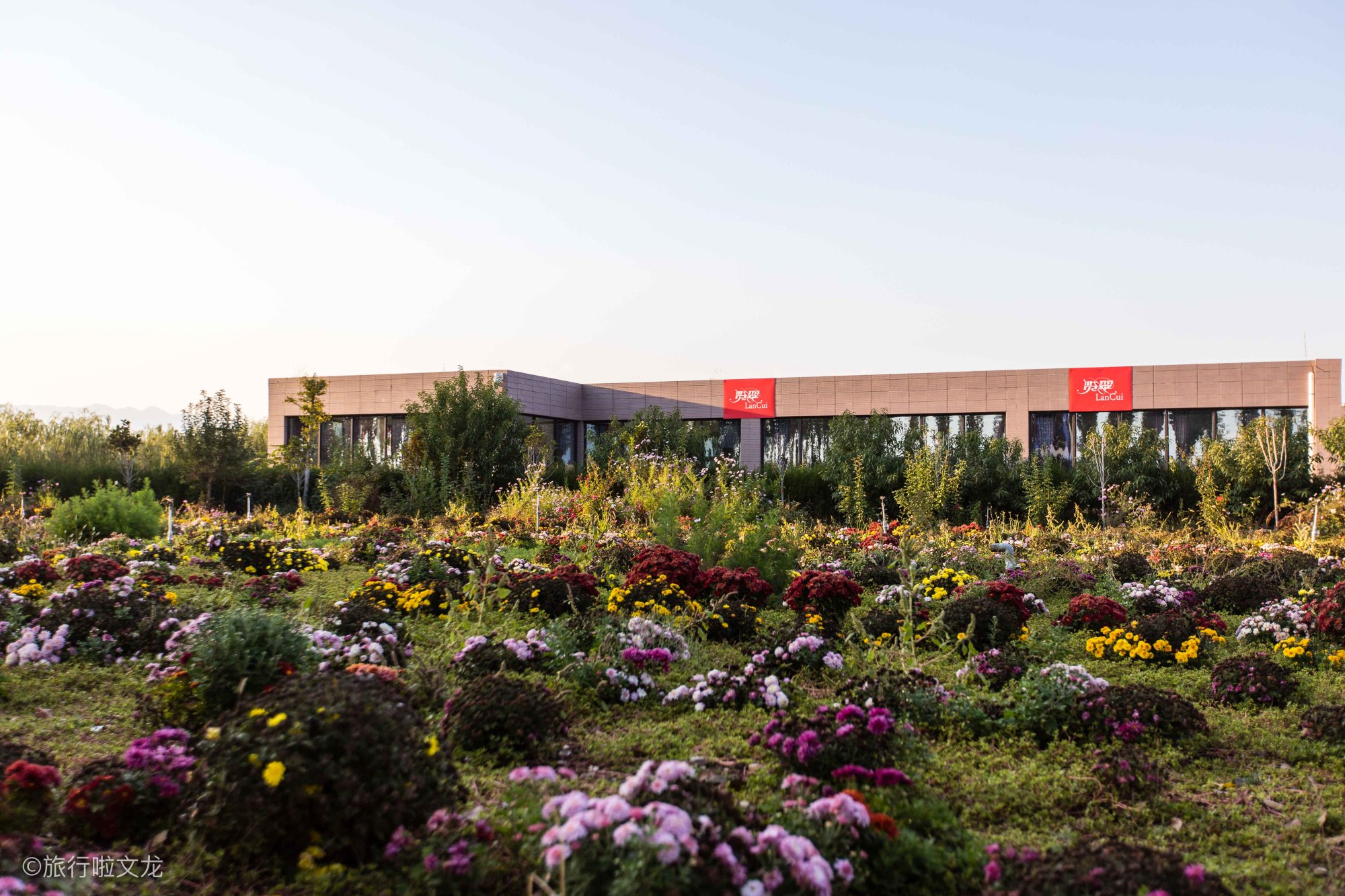 宁夏立兰酒庄好聪明,利用地势坡度重力自然入料,减少葡萄损伤