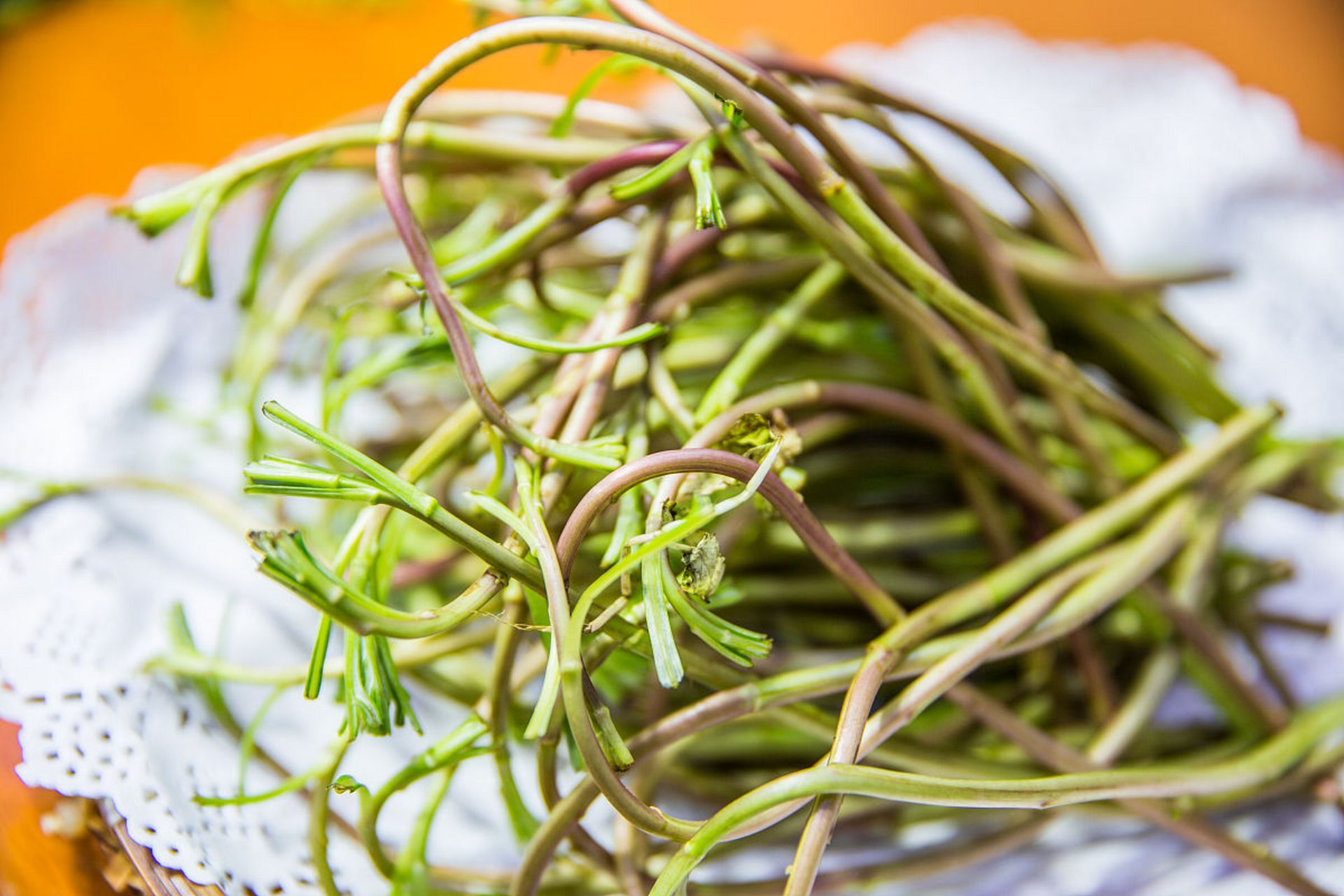 被误当成野菜的"宝物"——麦蒿 今天,我们来介绍一种非常好吃的野菜