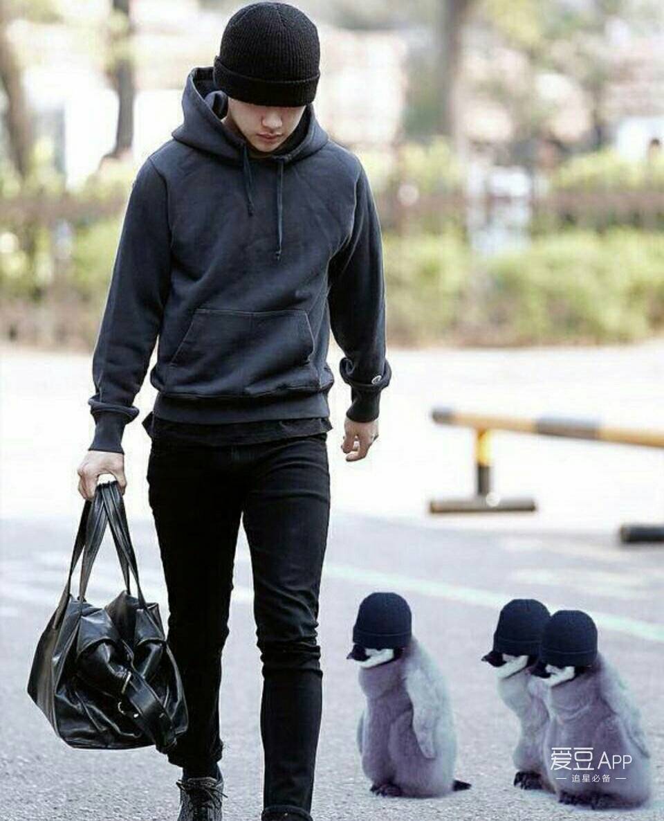 都暻秀太可爱,现场提问自己为何叫"企鹅",kai回怼:去照镜子