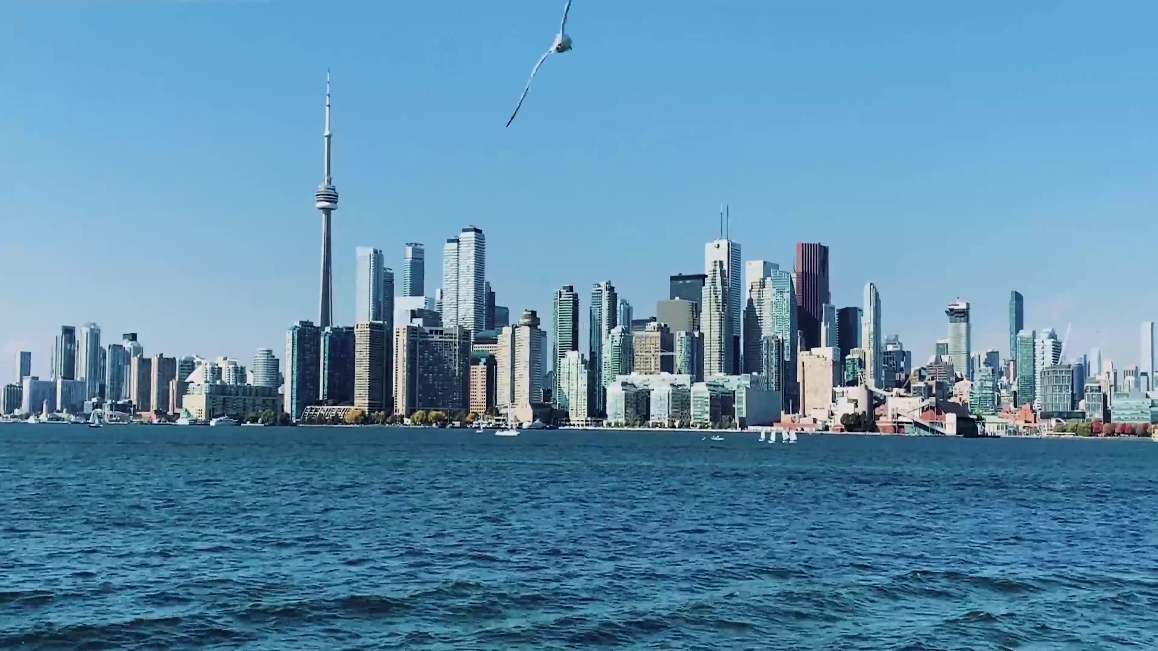 被大风吹进美国边境,拘留八个月丢了工作和房子,让你划船