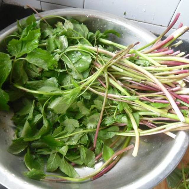 野芹菜是一種野生的山野菜,有一股清香的味道,用來炒著吃還是很不錯的