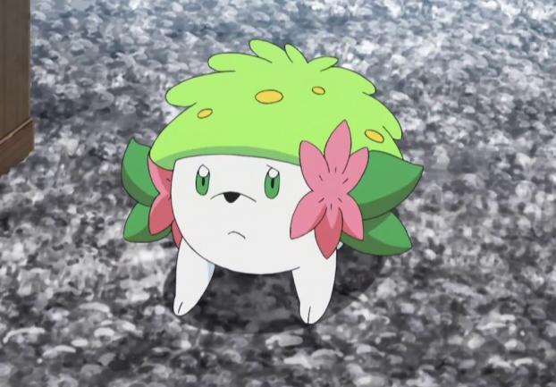 《精灵宝可梦》图鉴492:在葛拉西蒂亚花开的季节出现——谢米