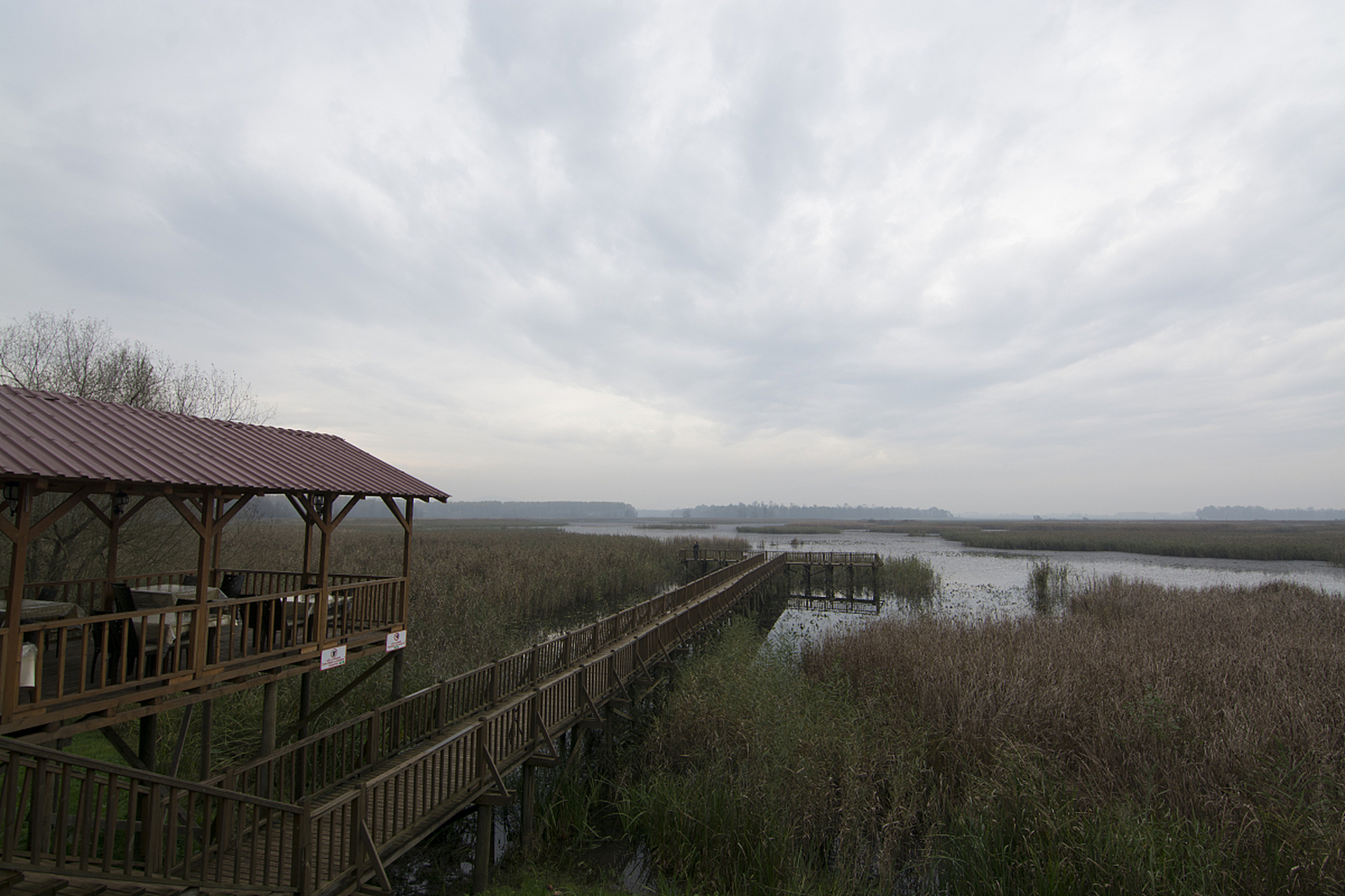 我来给大家安利一个超赞的旅游景点——安徽淮南市的焦岗湖旅游景区!