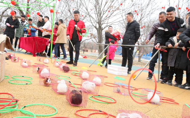 临沂市郯城码头镇小吃街大集上有个游戏好多人喜欢