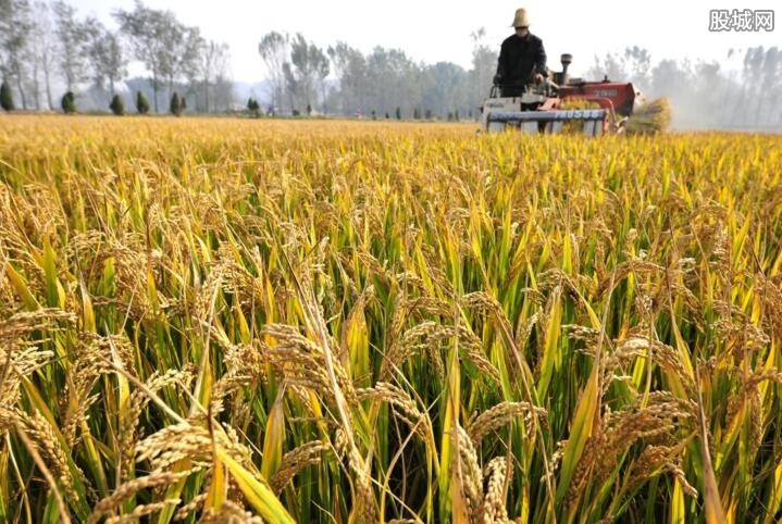 赵铁桥:我国农民合作社产业正逐步拓展