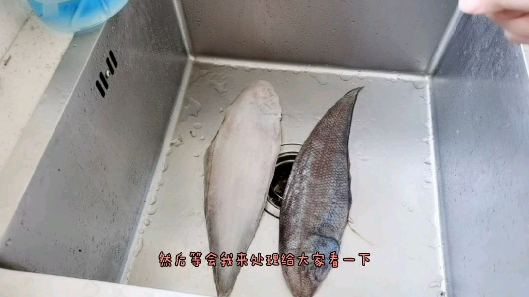 妍妍教你认识和处理正宗龙利鱼