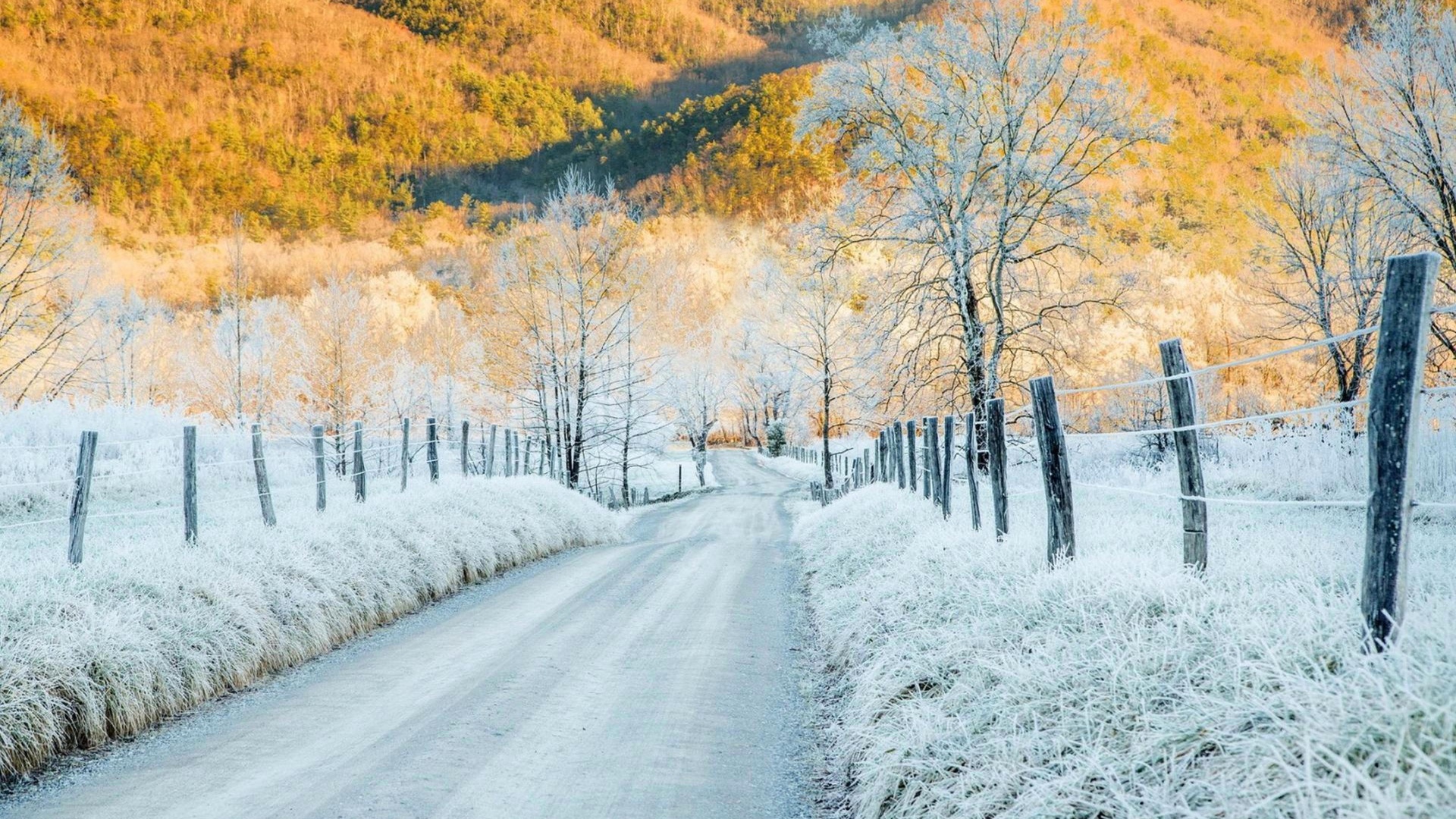 冬天唯美梦幻的雪景图片桌面壁纸,分辨率:1920x1200