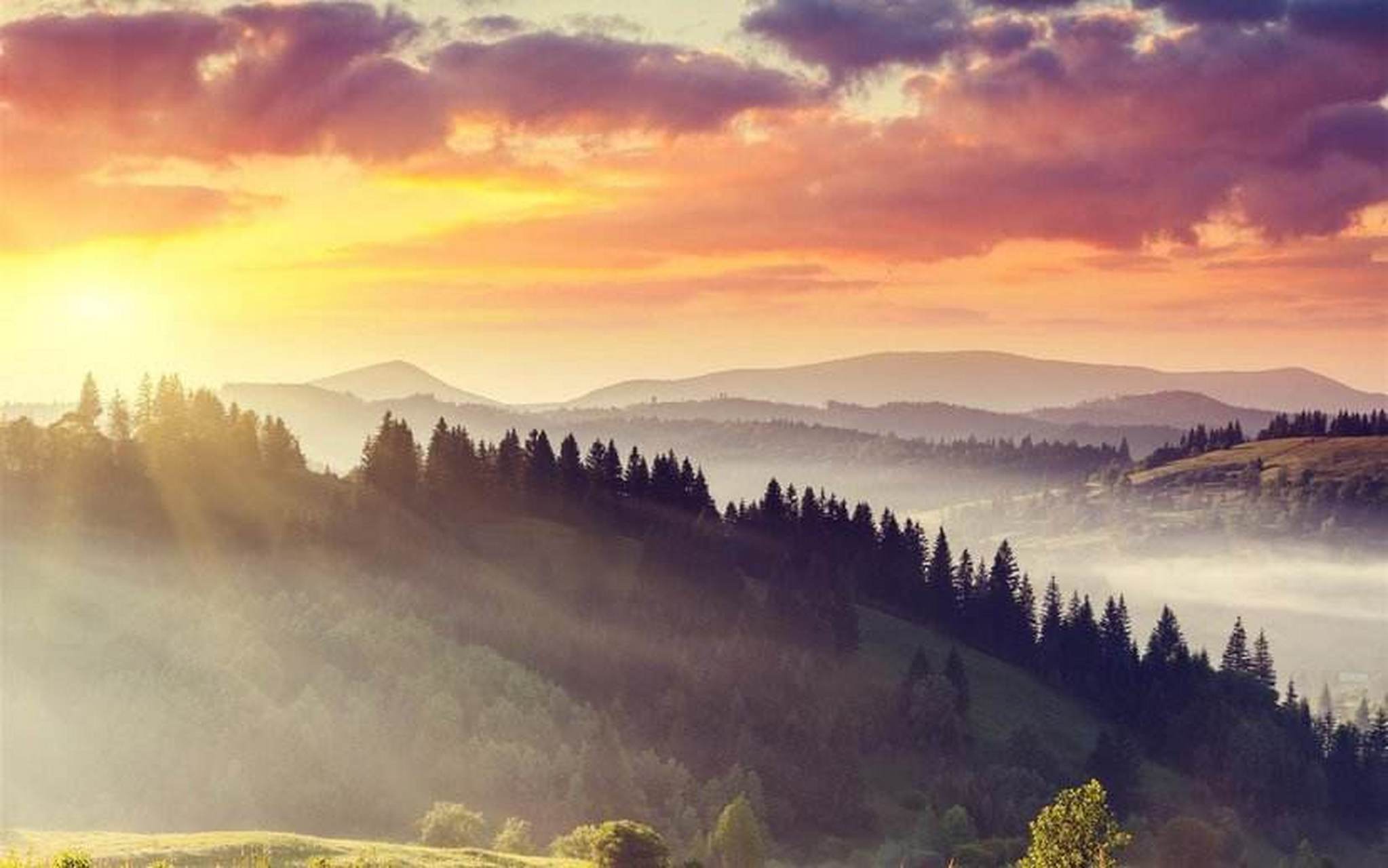 如:wehavebeentotheschoolmanytimes.我们已经去过这所学校很多次.