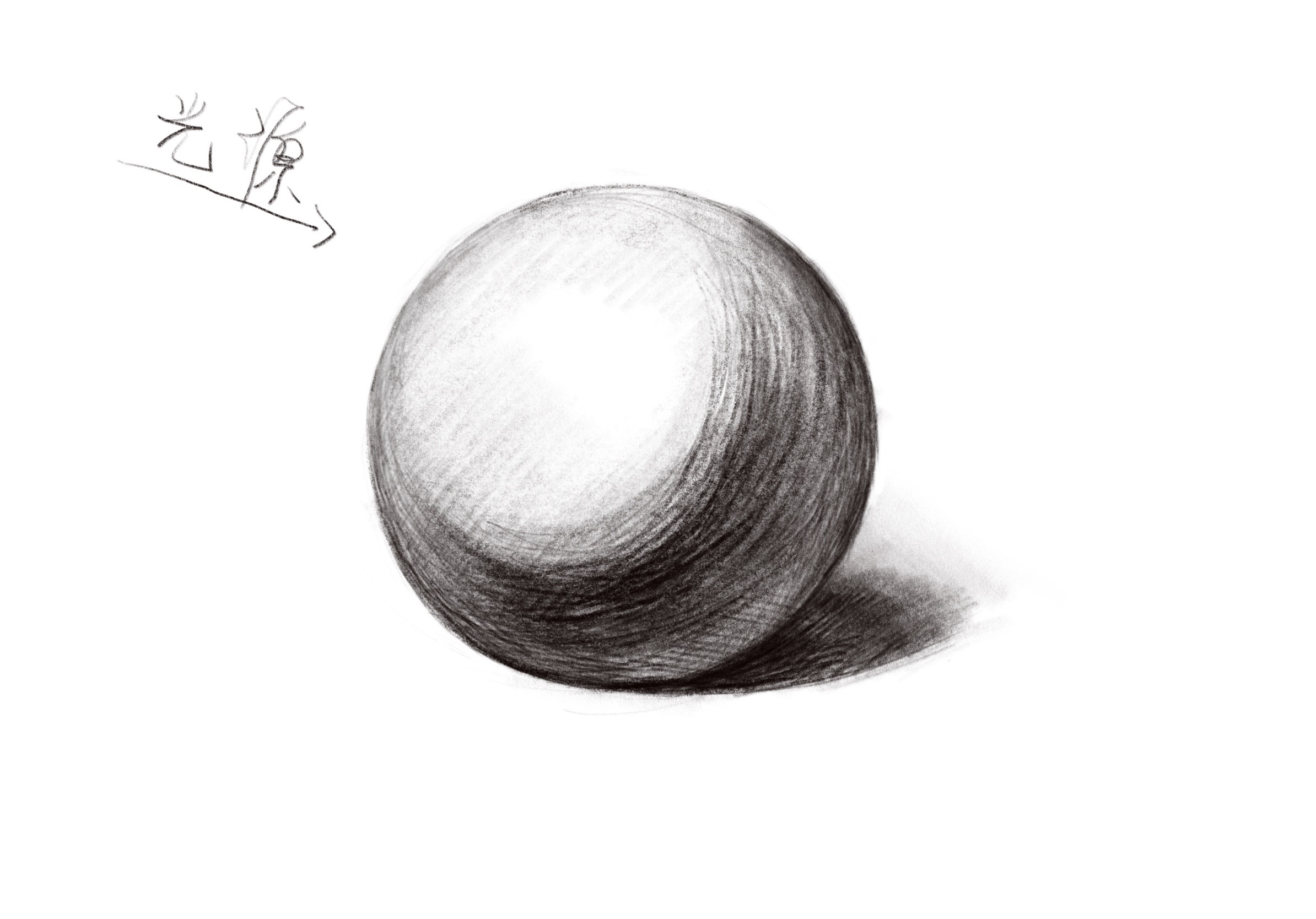 从零开始学画画(素描)——圆到球体的诞生