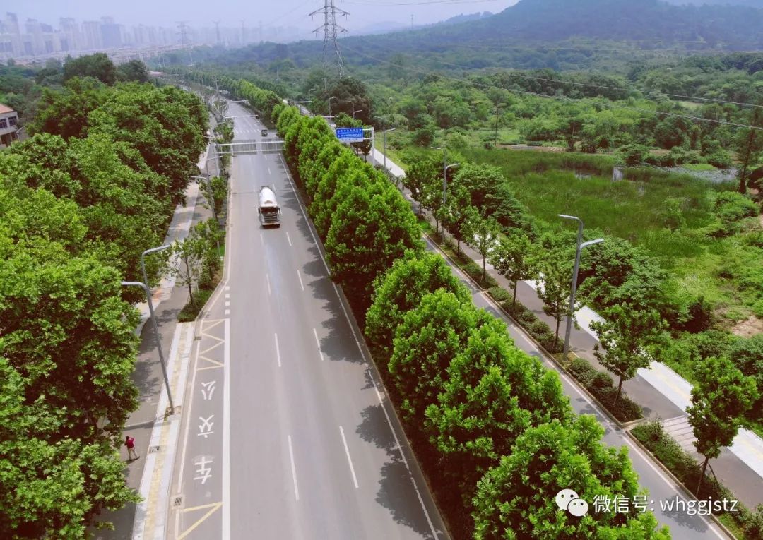 交通|三环线光谷立交和森林大道通车!怎么走?看这里!