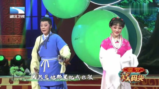 [图]黄梅戏名家张辉、杨俊演唱《天仙配·路遇》，唱腔优美，百听不厌