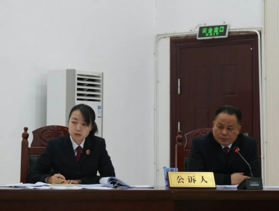 大通湖区检察院起诉倪某等13人恶势力犯罪集团