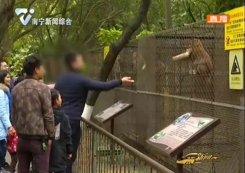 那位在南寧動物園給猴子遞煙的兄弟,你是認真的嗎?