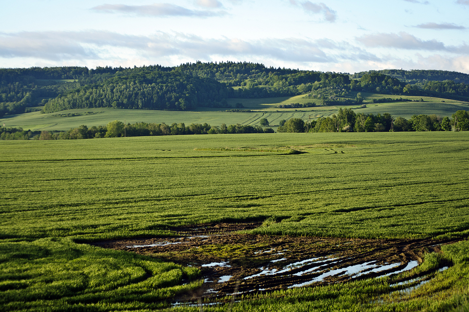 奔赴春天的旅行# 踏春托乎拉苏大草原位于伊犁河谷的腹地,那里的天