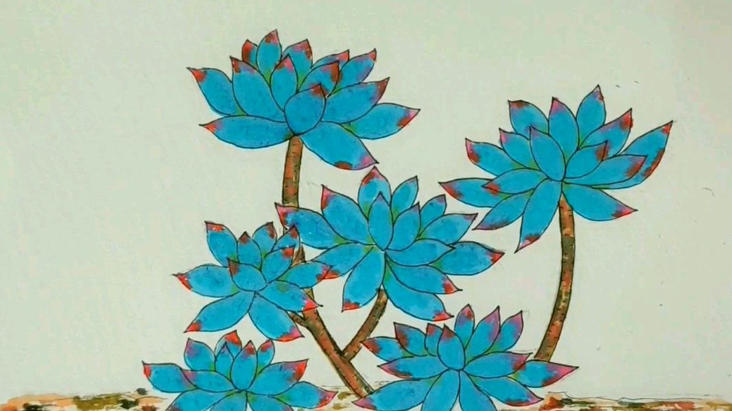 多肉植物手绘,霜之朝水彩笔上色过程~