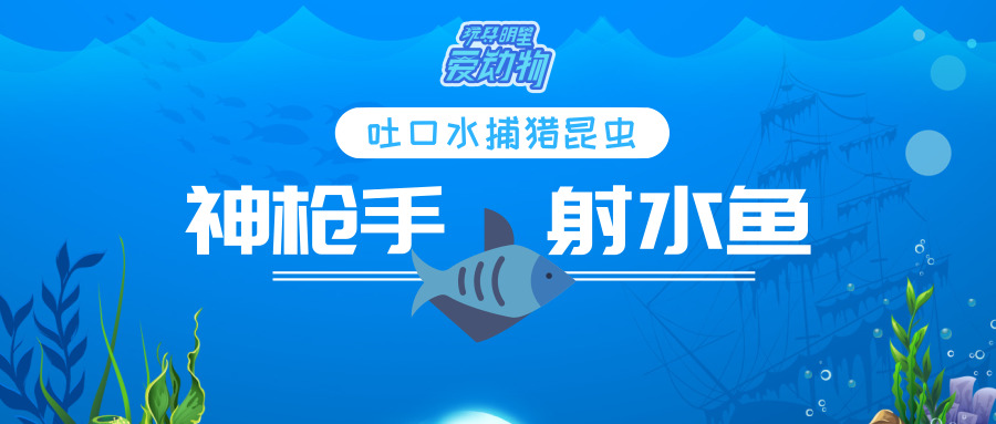 神枪手射水鱼,比植物大战僵尸的豌豆射手还厉害!