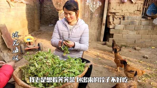 [图]婆婆送儿媳一筐野菜让她包饺子吃，多吃还有这种好处，你家有吗